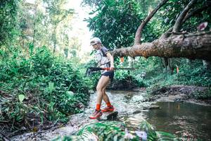 BIB: 
                            <button type="button" onclick="openModal(25433468)" class="btn btn-primary btn-sm float-right btn-popup" data-toggle="modal" data-target=".modal-high-quality">
                        <i class="fas fa-shopping-cart"></i> Add to Cart
                    </button>
                                            <button type="button" onclick="isThisMe(25433468, true)" class="btn btn-success btn-sm float-right btn-popup btn-isme hidden" data-toggle="tooltip" data-placement="bottom" title="นี่คือรูปของคุณใช่ไหม คลิกที่นี่เพื่อเอาเข้าอัลบั้ม">
                        <i class="fas fa-plus"></i> Add to album
                    </button>
                    <button type="button" onclick="isThisMe(25433468, false)" class="btn btn-warning btn-sm float-right btn-popup btn-isnotme hidden">
                        <i class="fas fa-ban"></i> Remove from album
                    </button>